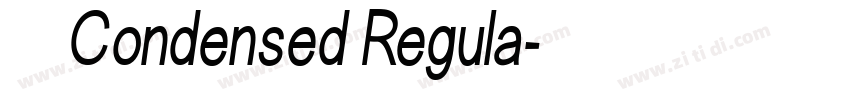 寒蝉锦书Condensed Regula字体转换